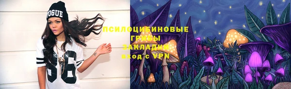 ГАЛЛЮЦИНОГЕННЫЕ ГРИБЫ Осинники