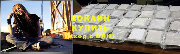 крисы Переславль-Залесский