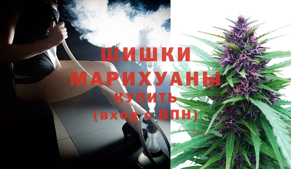 крисы Переславль-Залесский