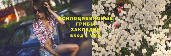 крисы Переславль-Залесский
