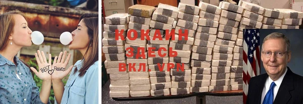 меф Пересвет
