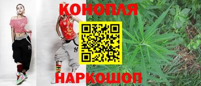 амф Гай