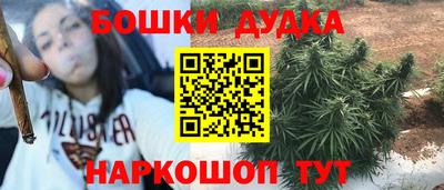 амф Гай