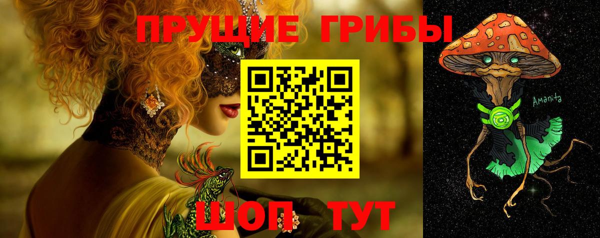 Псилоцибиновые грибы Psilocybe Кимры