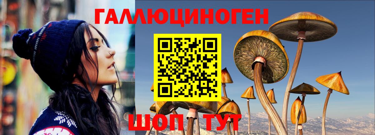 Галлюциногенные грибы мухоморы  Псилоцибиновые грибы Magic Shrooms  Кимры 